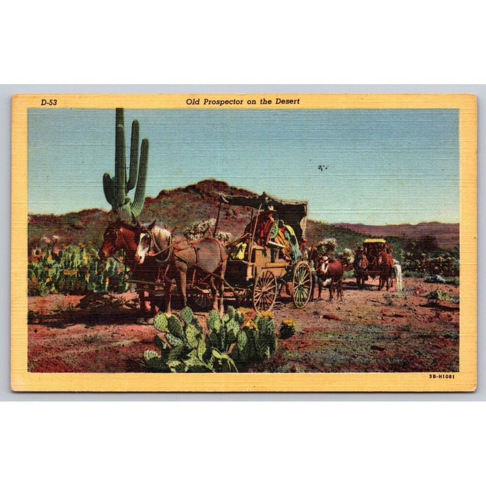 Postcard Arizona Old Prospector on the Desert Wagons Horses Cow Posted 1949 VTG